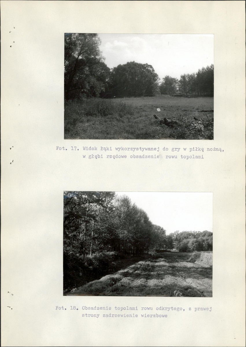 Ewidencja parkowa, skan nr 34