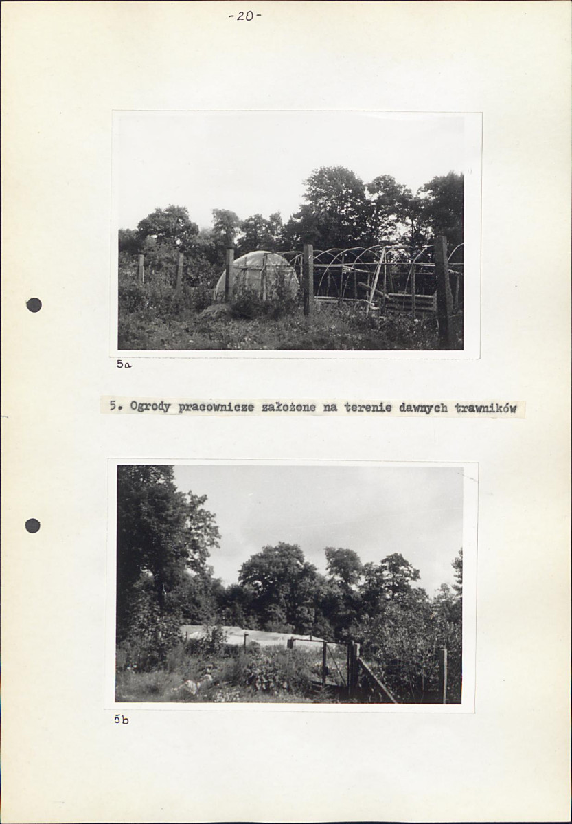 EP - Ewidencja parkowa, skan nr 31