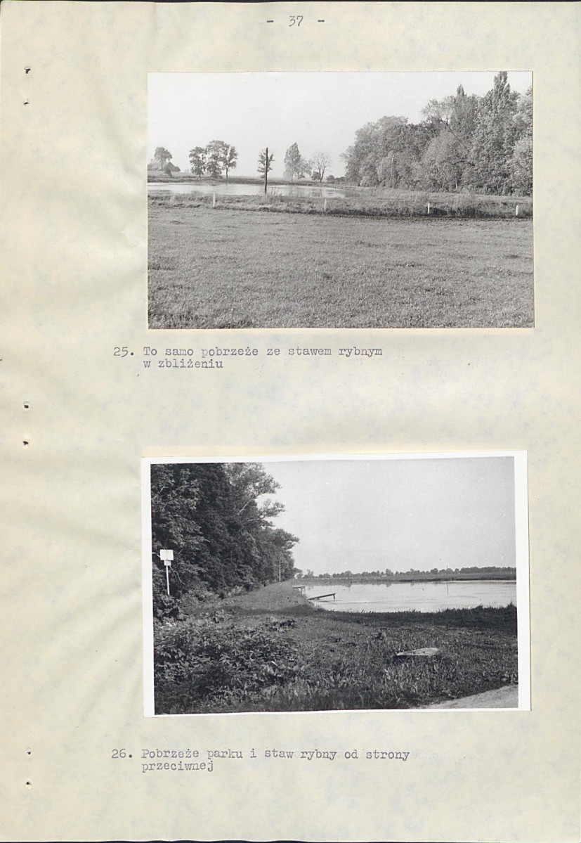 EP - Ewidencja parkowa, skan nr 44