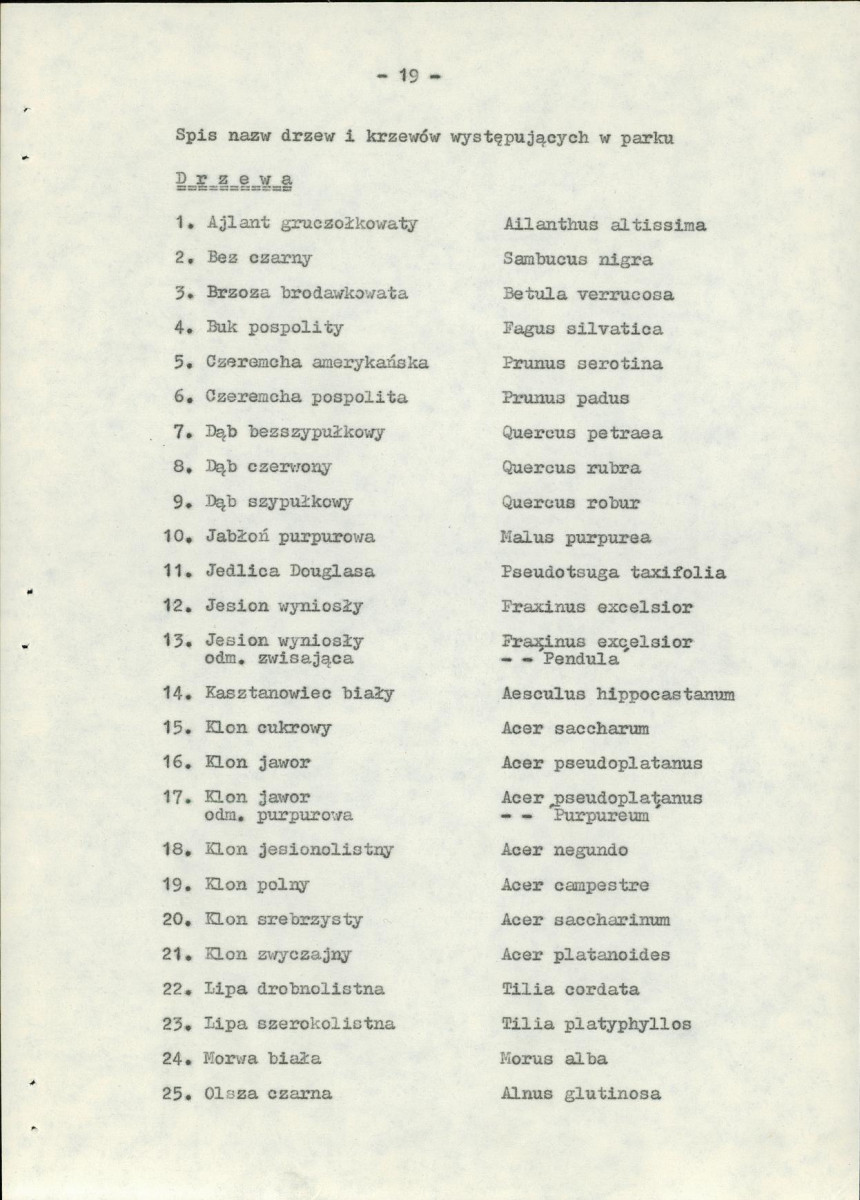 Ewidencja parkowa, skan nr 25