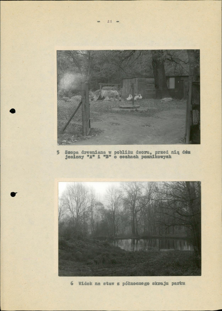 EP - Ewidencja parkowa, skan nr 26