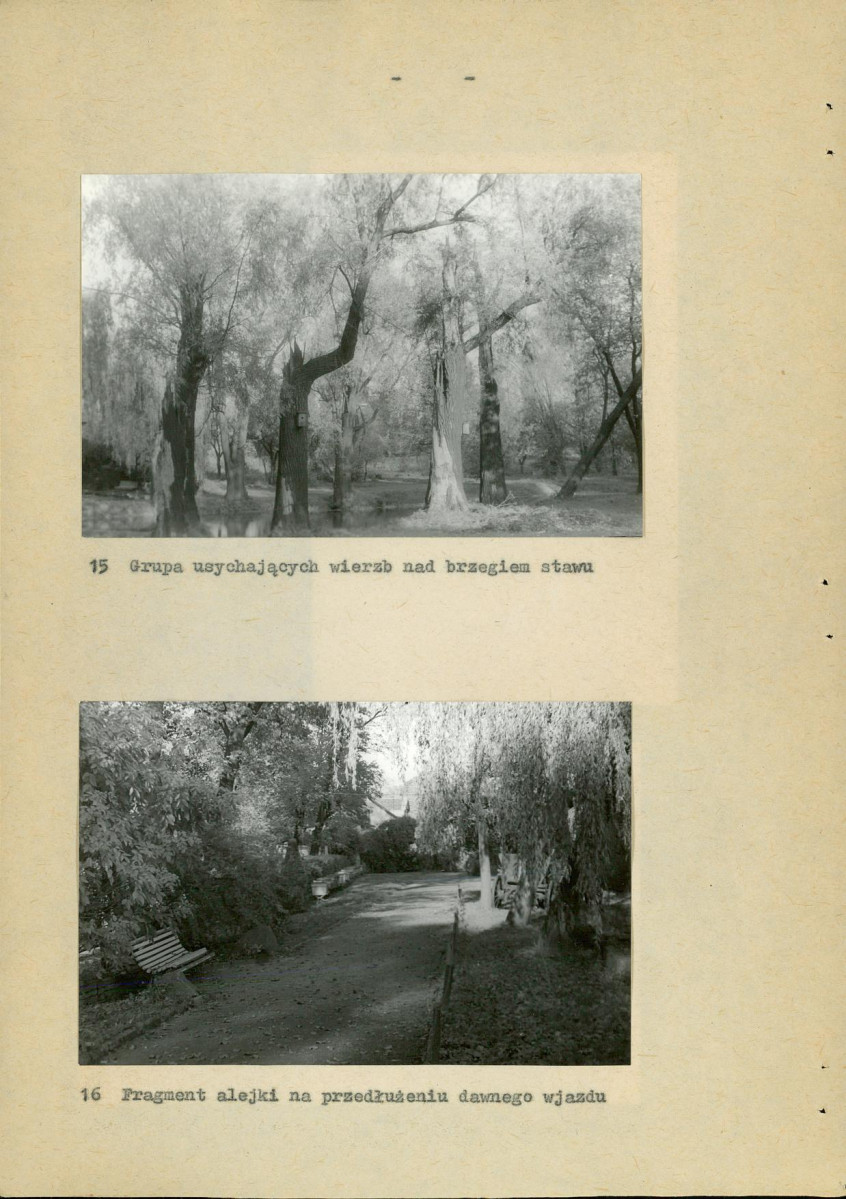 Ewidencja parkowa, skan nr 42