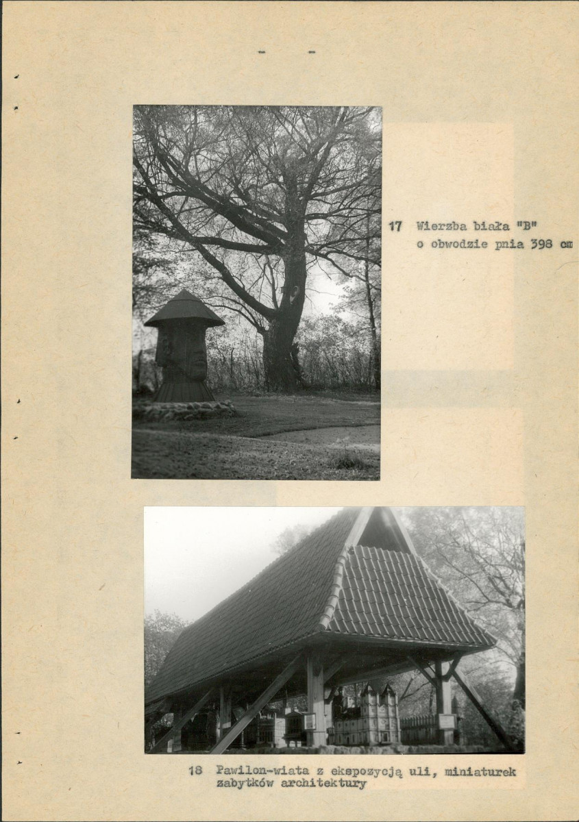 Ewidencja parkowa, skan nr 43