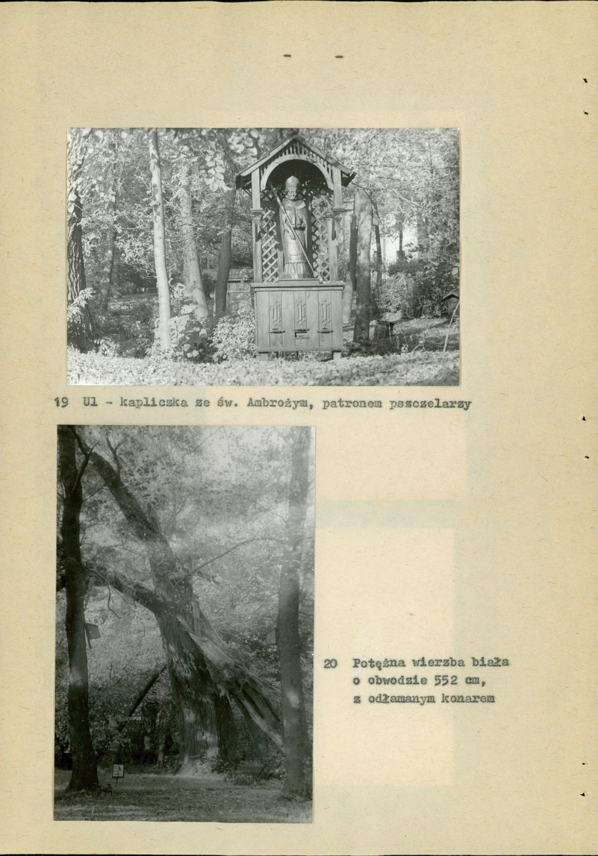 Ewidencja parkowa, skan nr 44