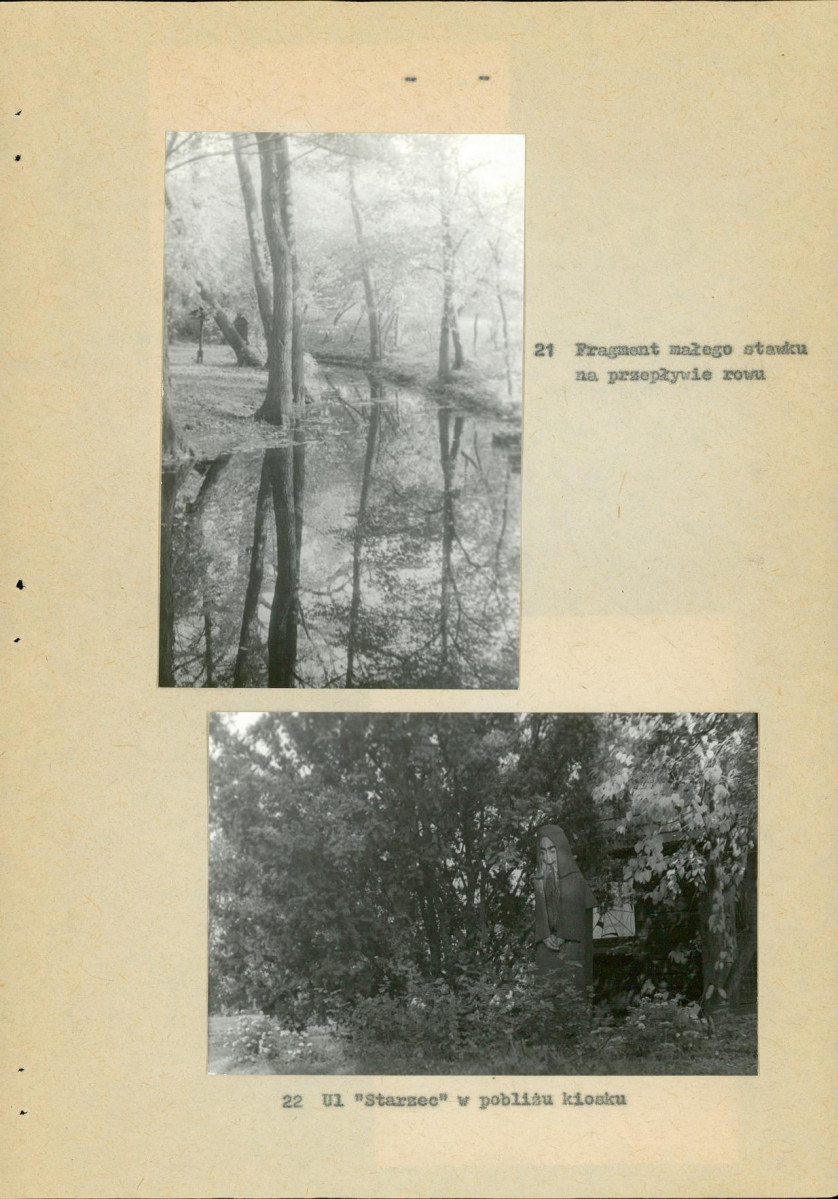 Ewidencja parkowa, skan nr 45