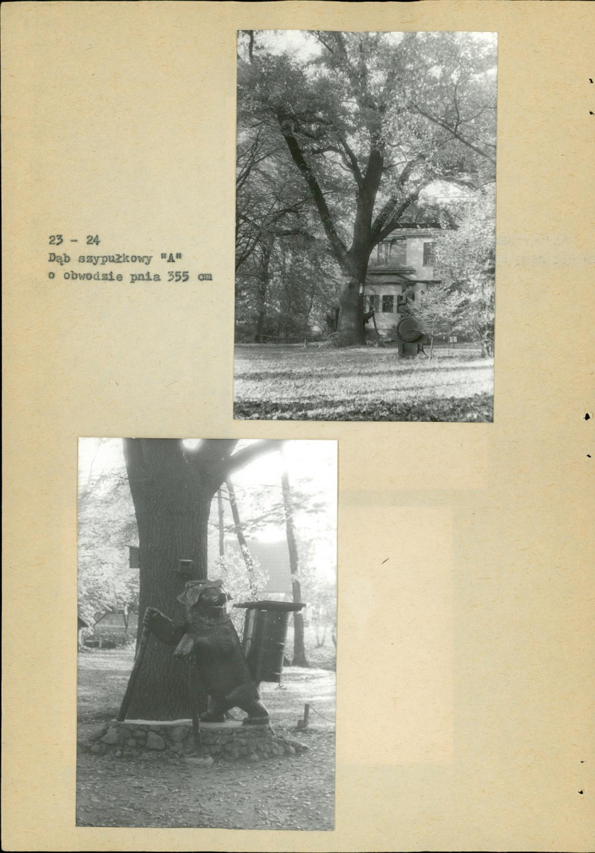 Ewidencja parkowa, skan nr 46