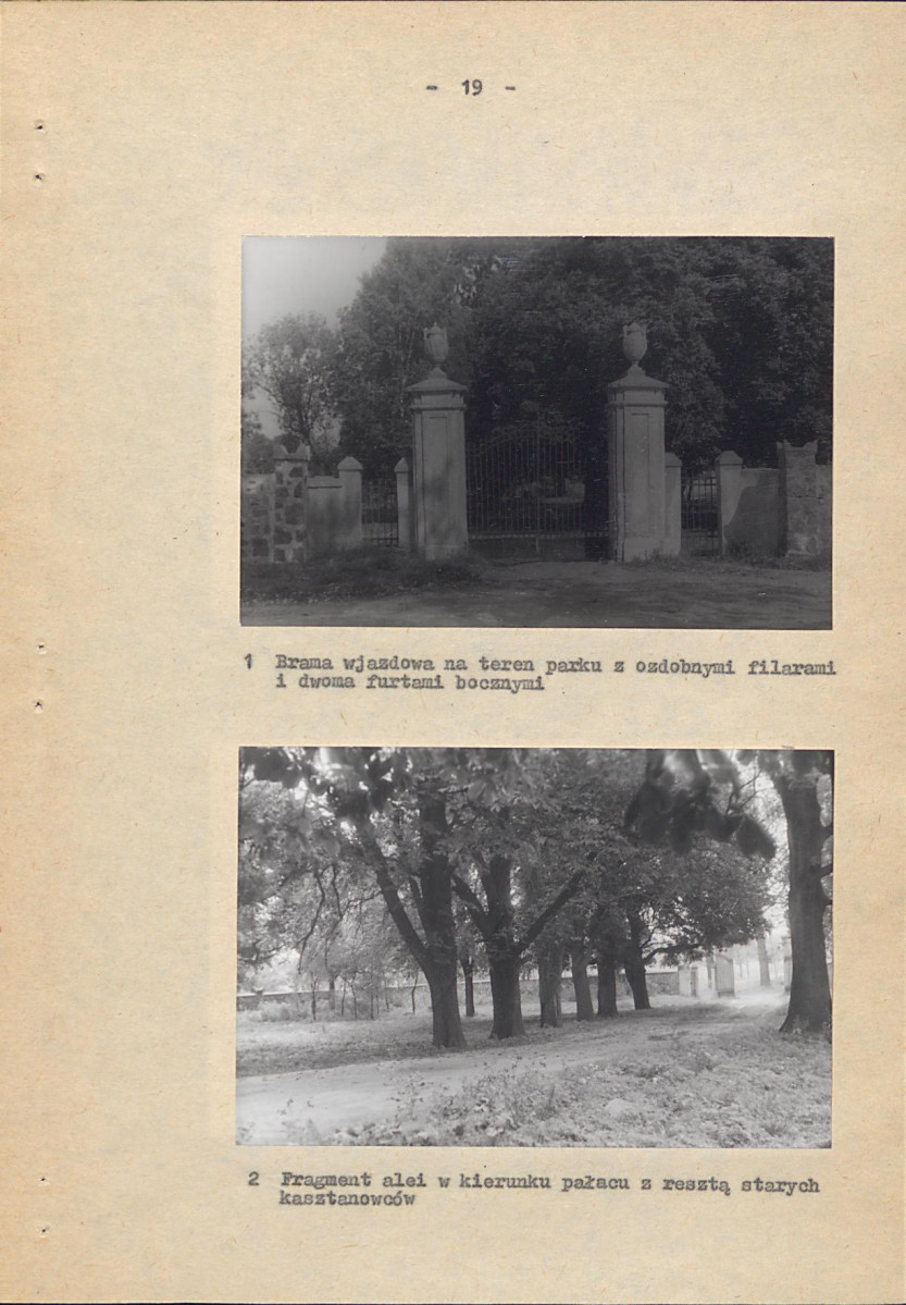 Ewidencja parkowa, skan nr 25