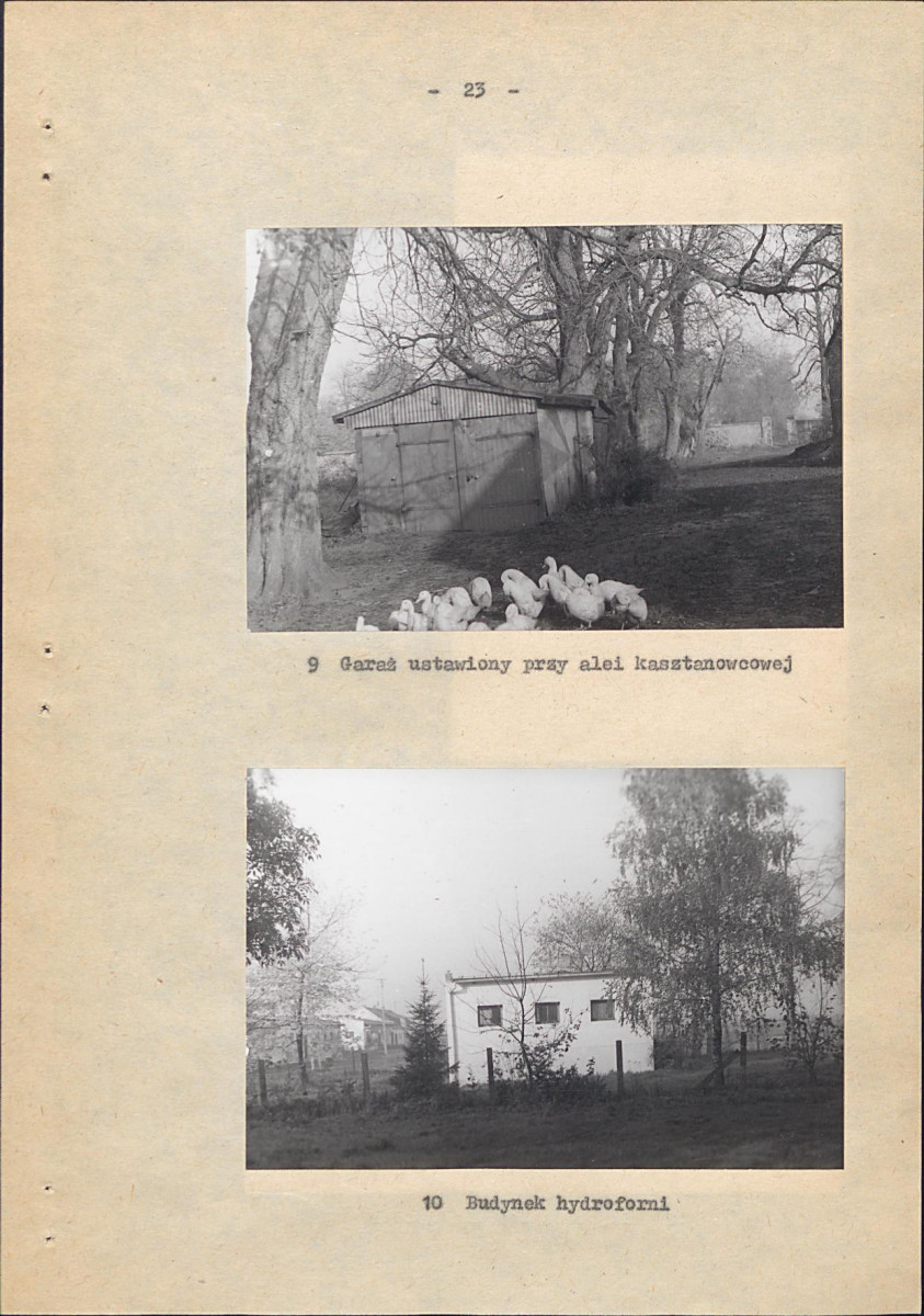 Ewidencja parkowa, skan nr 29