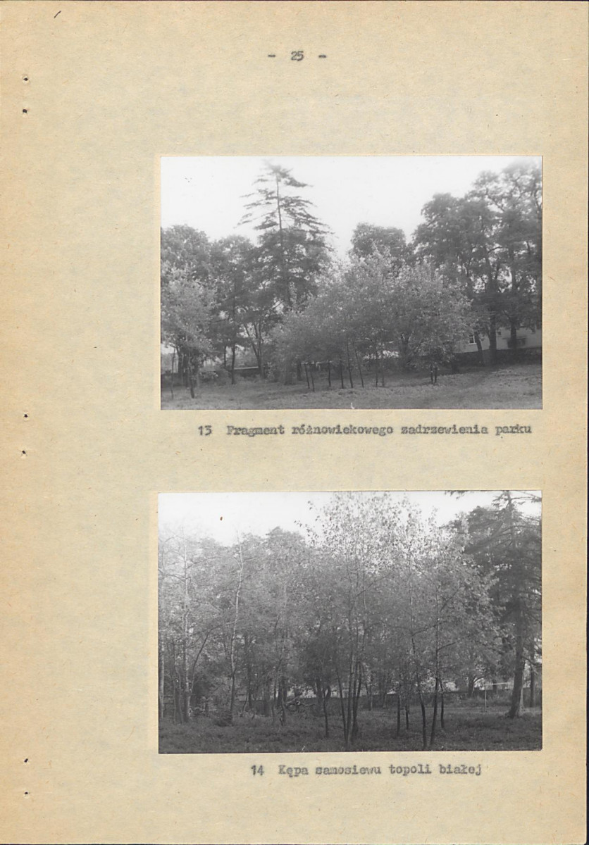 Ewidencja parkowa, skan nr 31