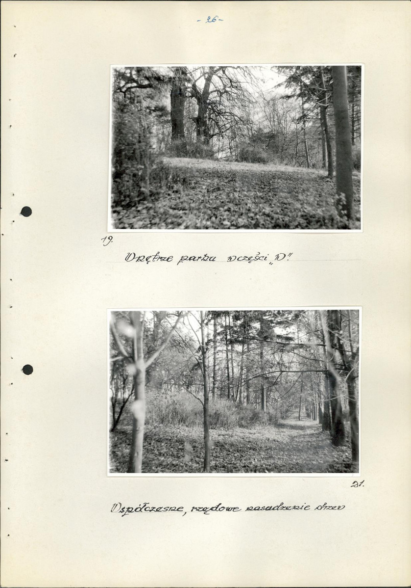 Ewidencja parkowa, skan nr 32