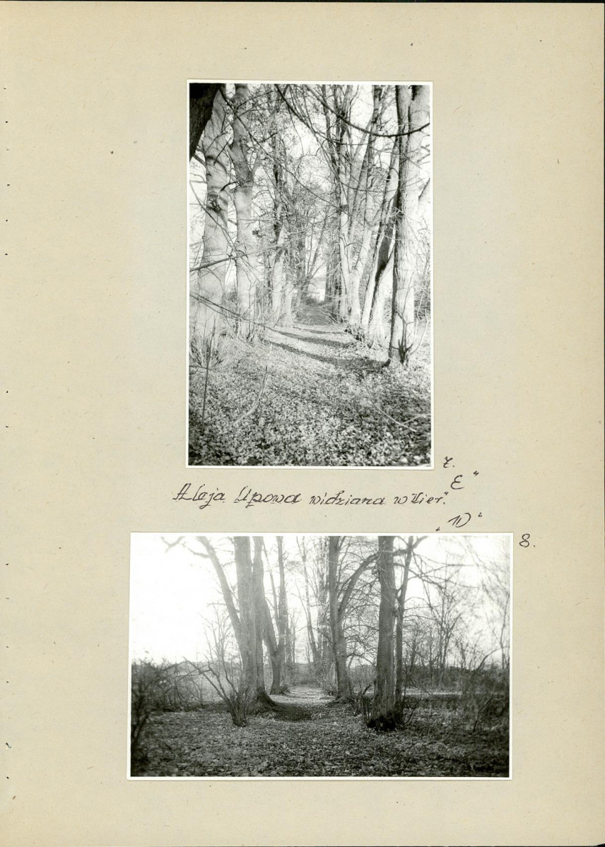 Ewidencja parkowa, skan nr 23