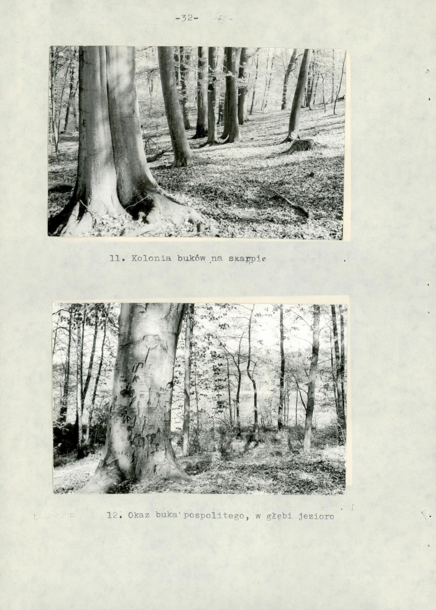 Ewidencja parkowa, skan nr 38