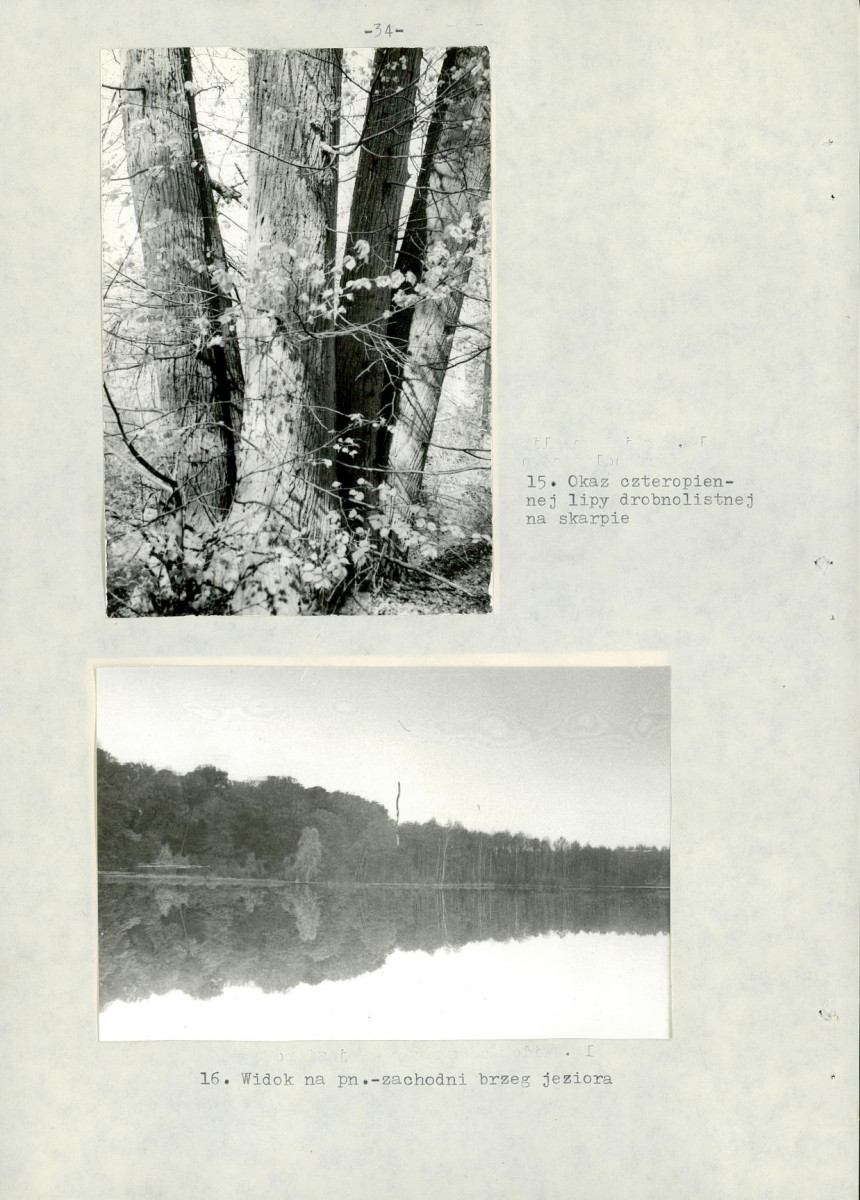 Ewidencja parkowa, skan nr 40