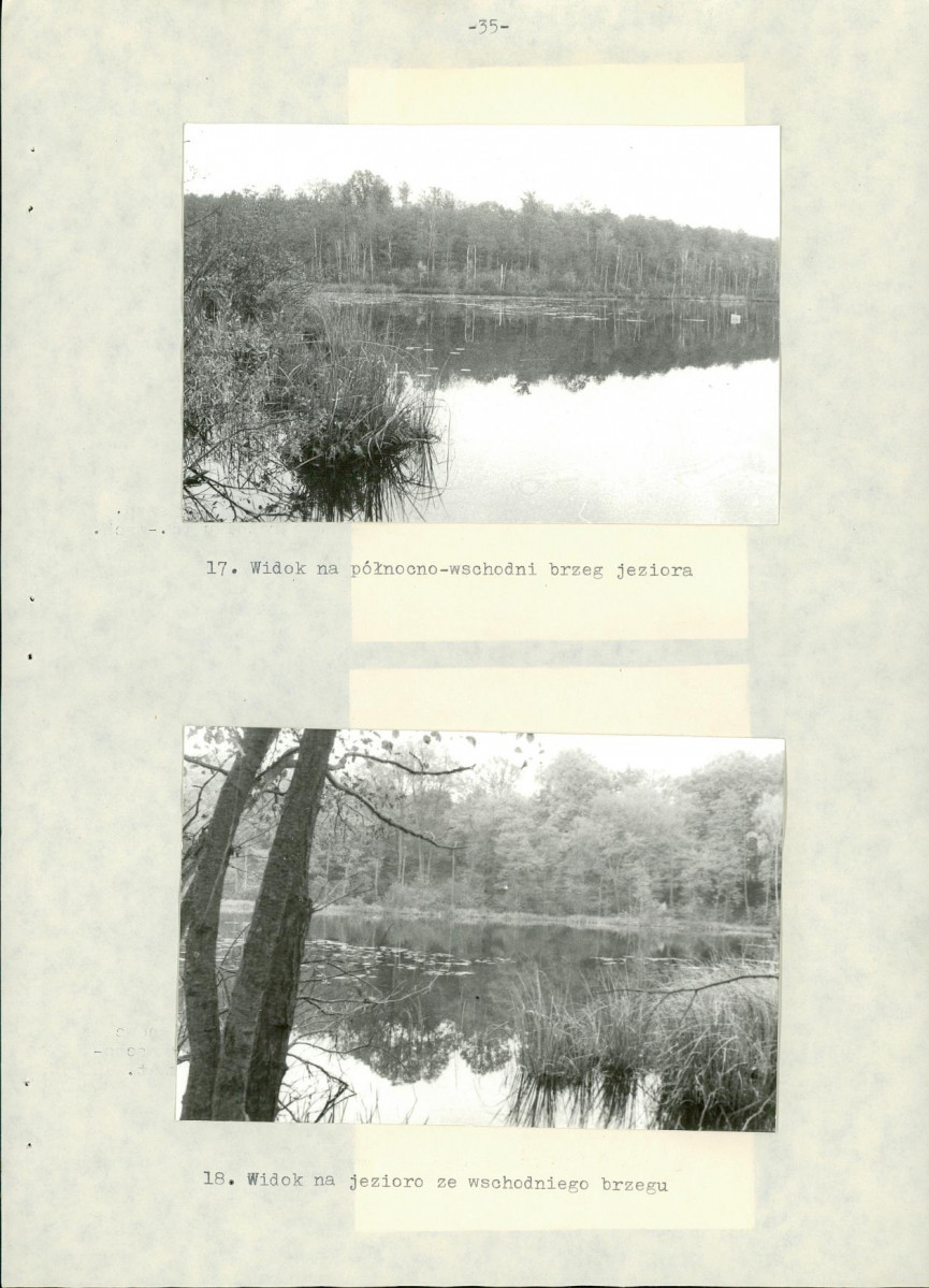 Ewidencja parkowa, skan nr 41