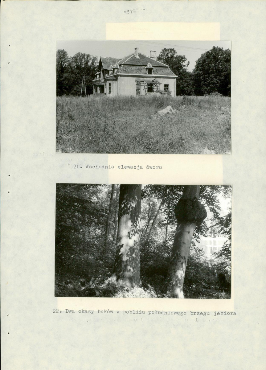 Ewidencja parkowa, skan nr 43