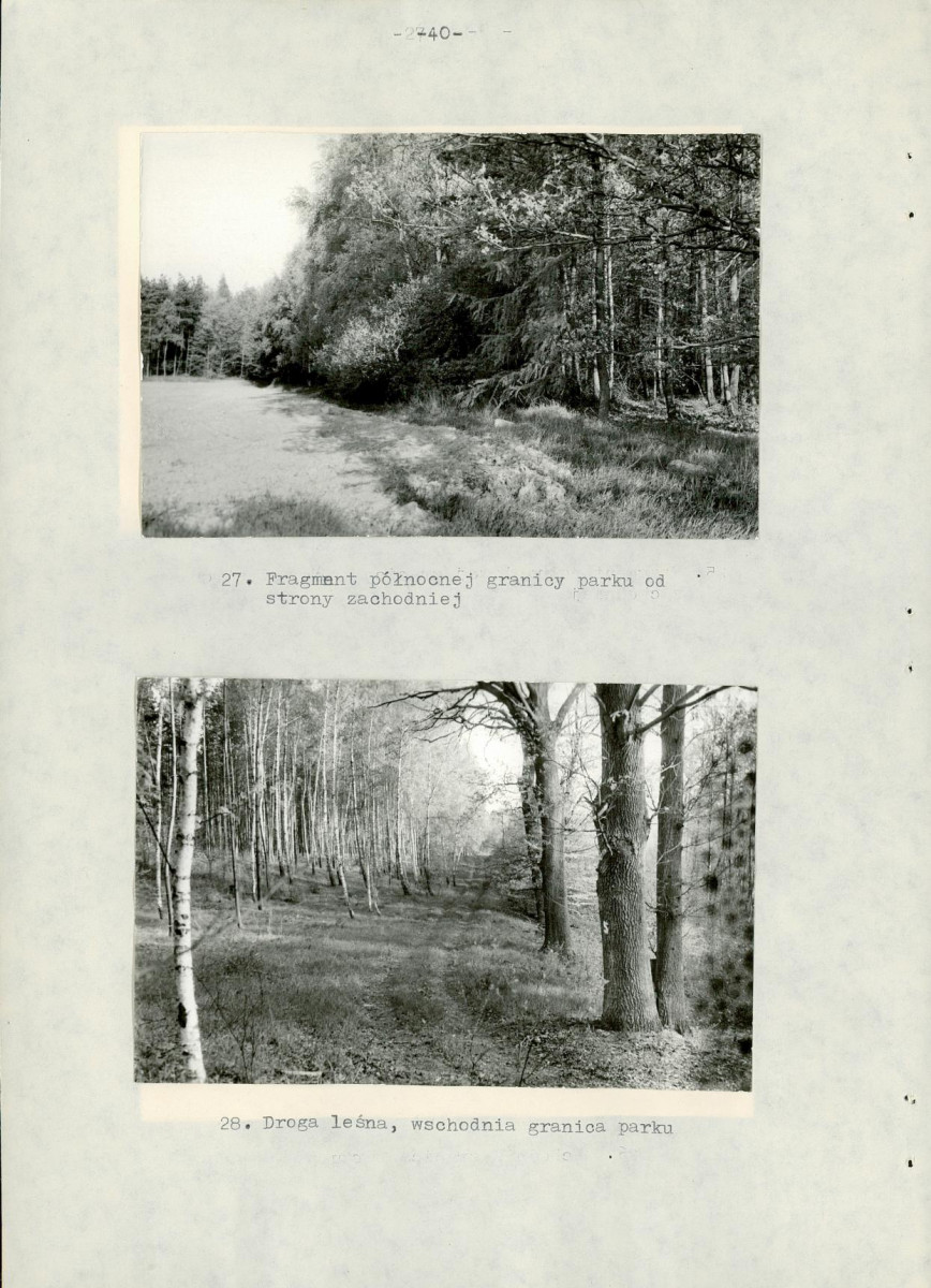 Ewidencja parkowa, skan nr 46