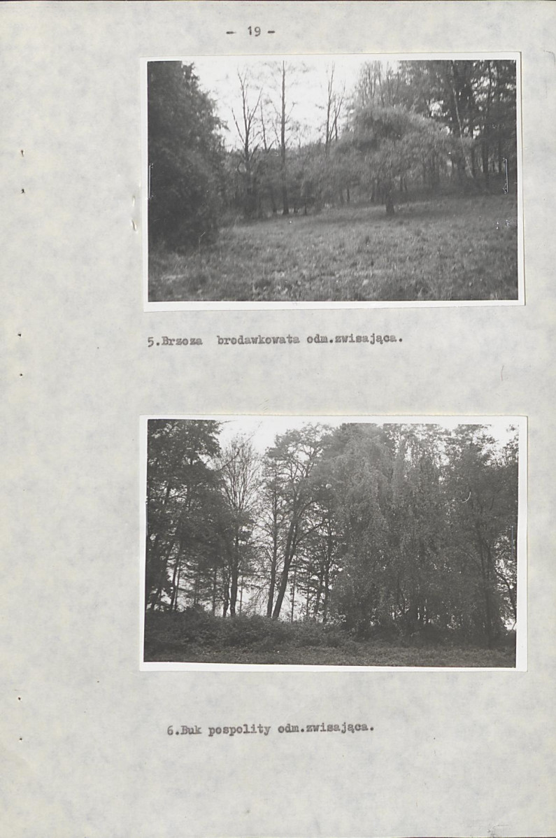 Ewidencja parkowa, skan nr 25