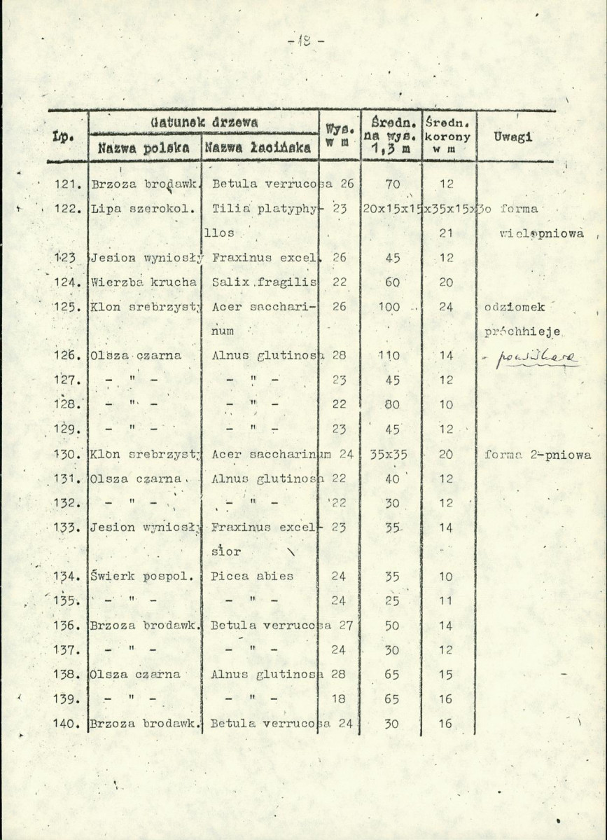 Ewidencja parkowa, skan nr 21