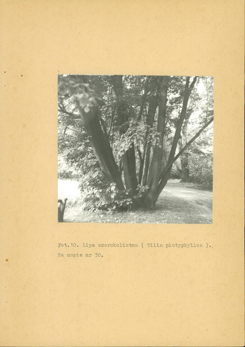 Ewidencja parkowa, skan nr 44