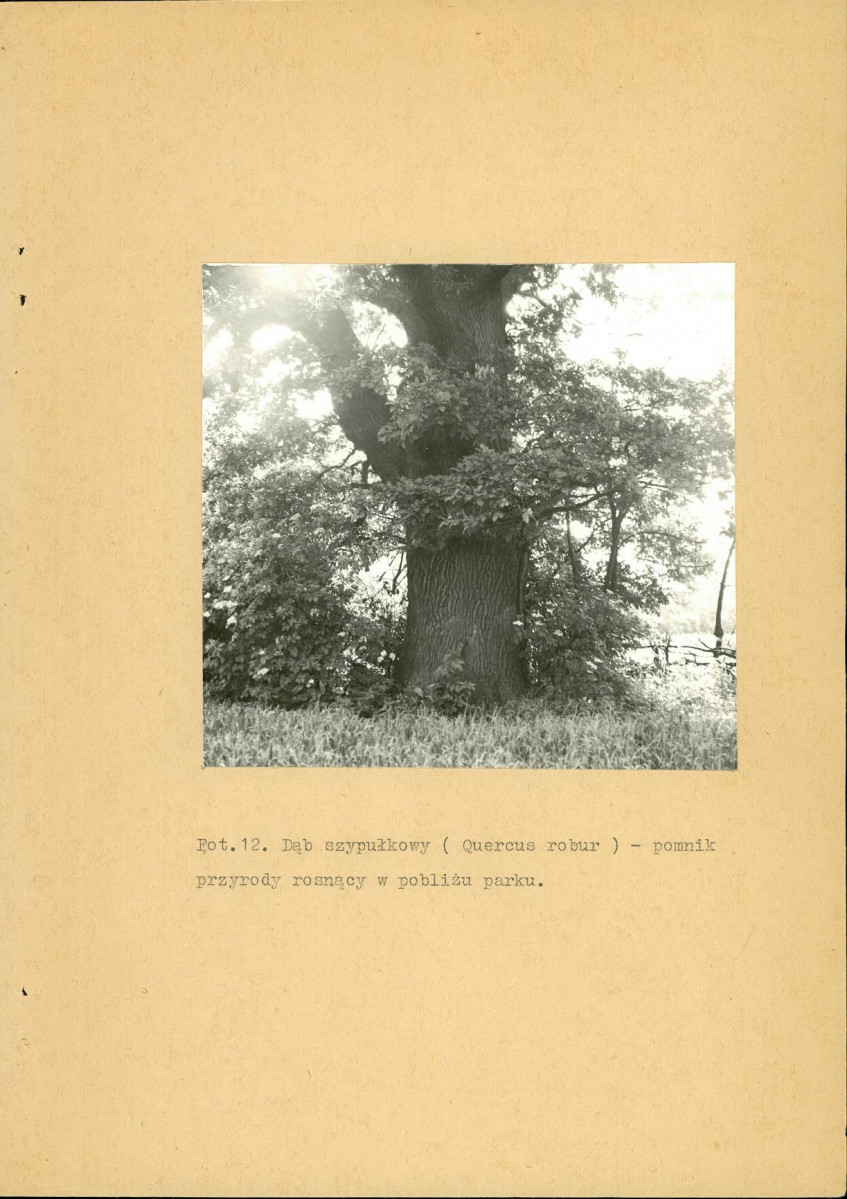 Ewidencja parkowa, skan nr 46