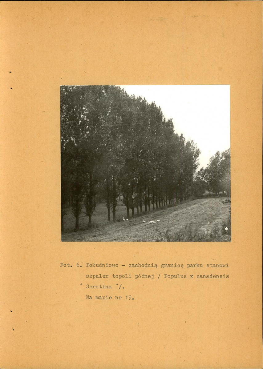EP - Ewidencja parkowa, skan nr 28