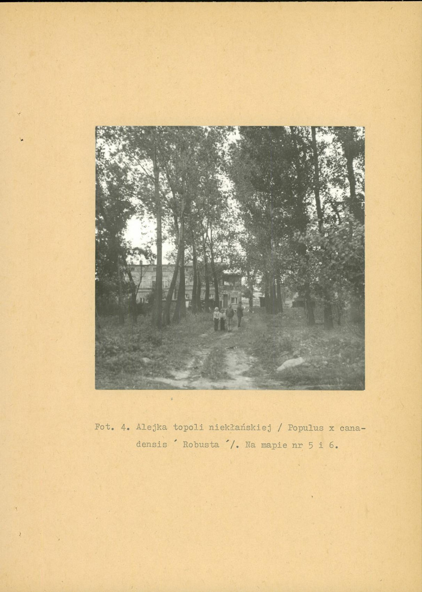 EP - Ewidencja parkowa, skan nr 29
