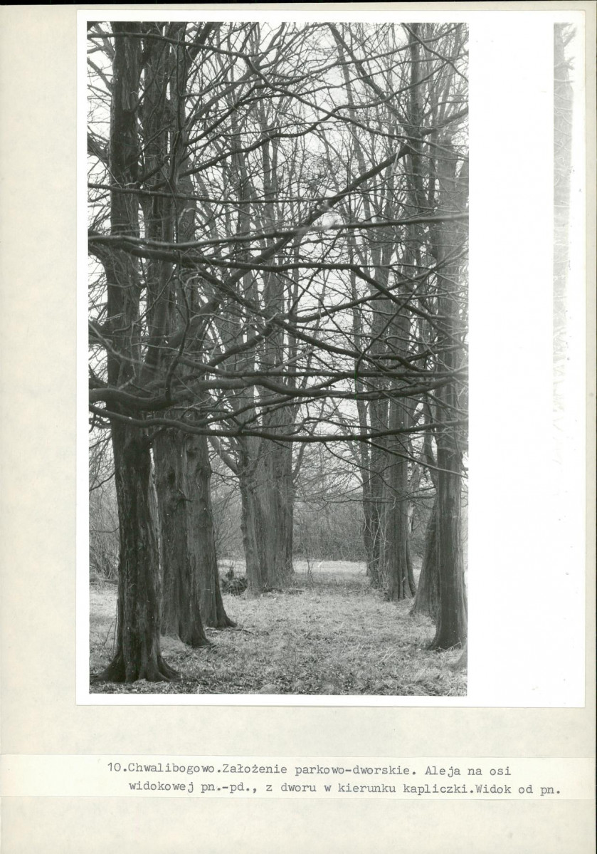 Ewidencja parkowa, skan nr 24