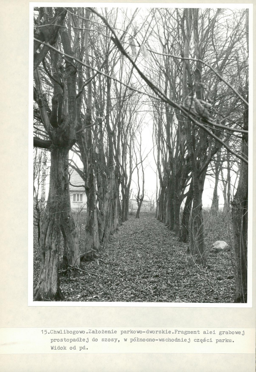 Ewidencja parkowa, skan nr 29
