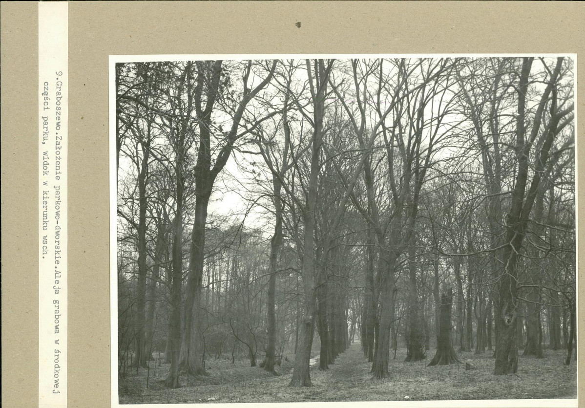 Ewidencja parkowa, skan nr 23
