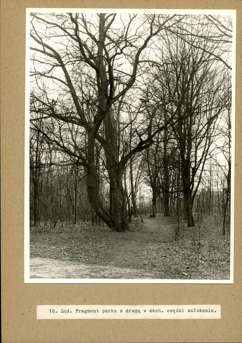 Ewidencja parkowa, skan nr 33