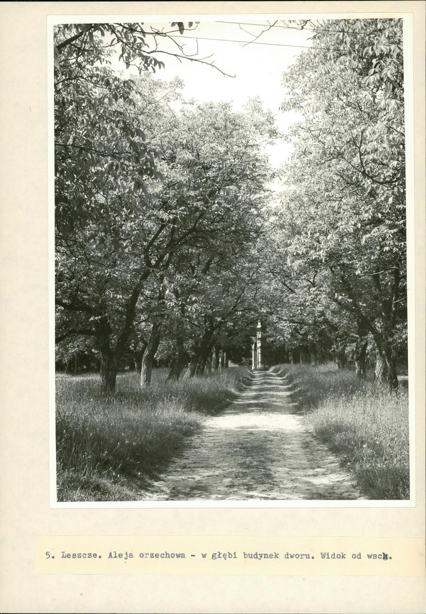 Ewidencja parkowa, skan nr 29
