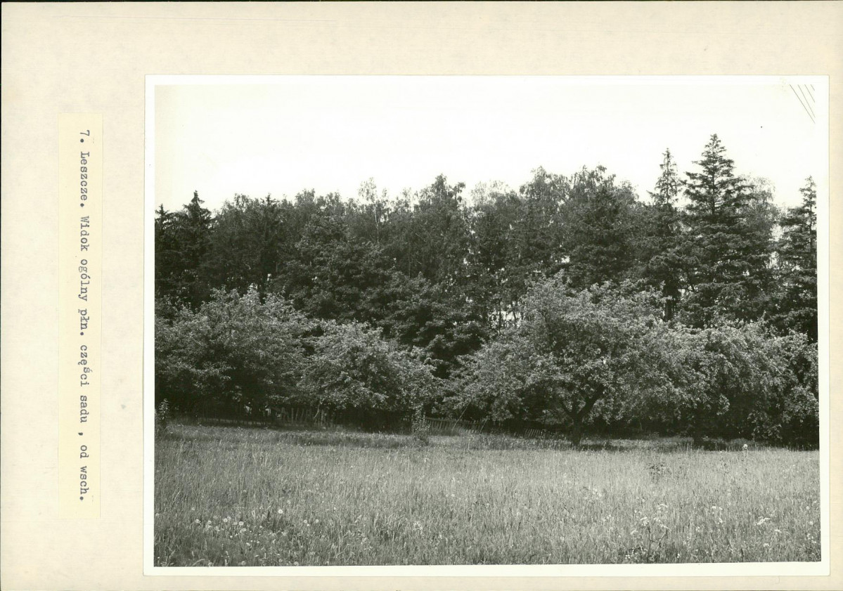 Ewidencja parkowa, skan nr 31
