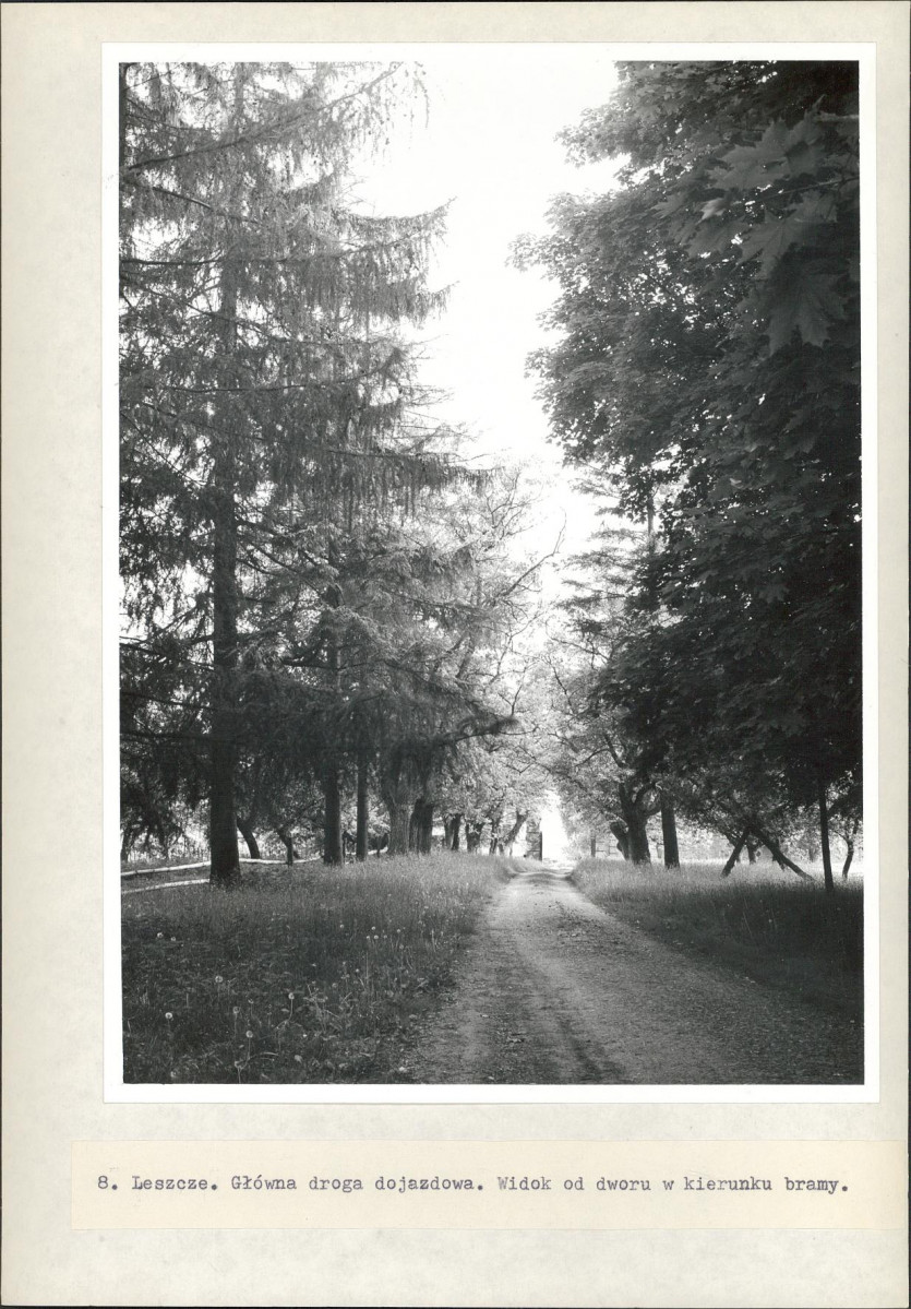 Ewidencja parkowa, skan nr 32