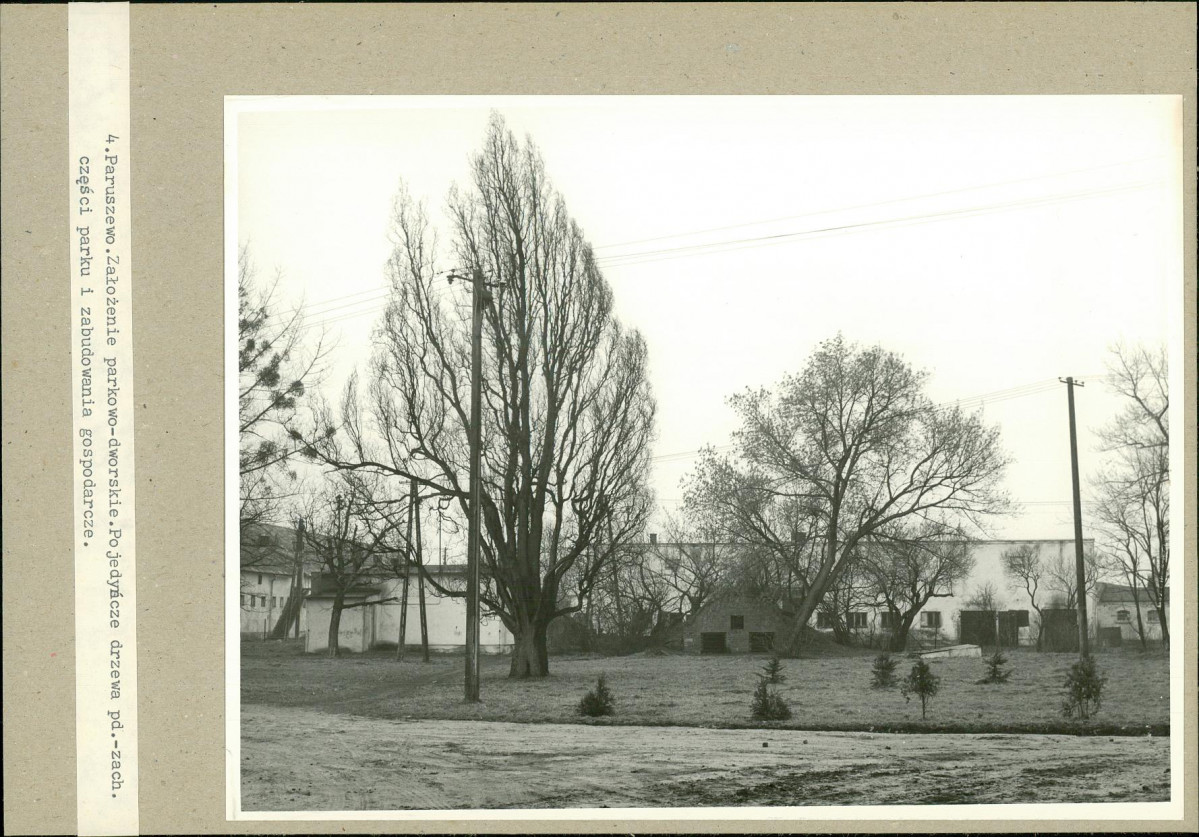 Ewidencja parkowa, skan nr 17