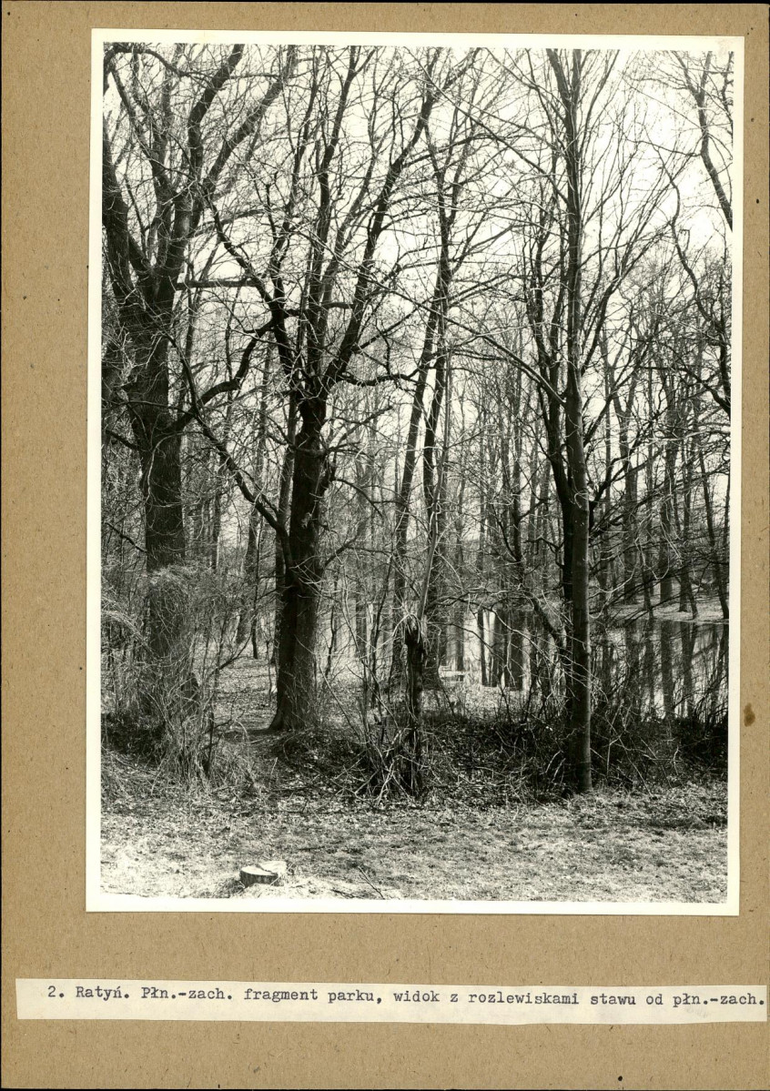 Ewidencja parkowa, skan nr 15
