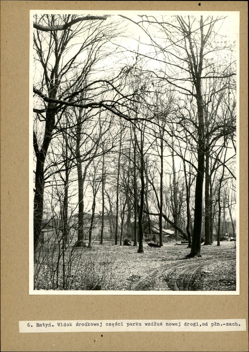 Ewidencja parkowa, skan nr 19