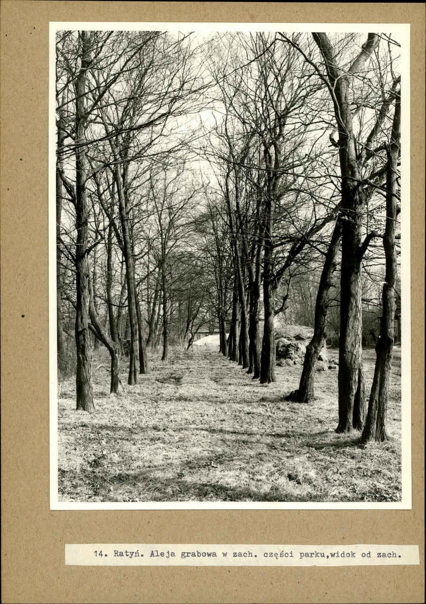 Ewidencja parkowa, skan nr 27