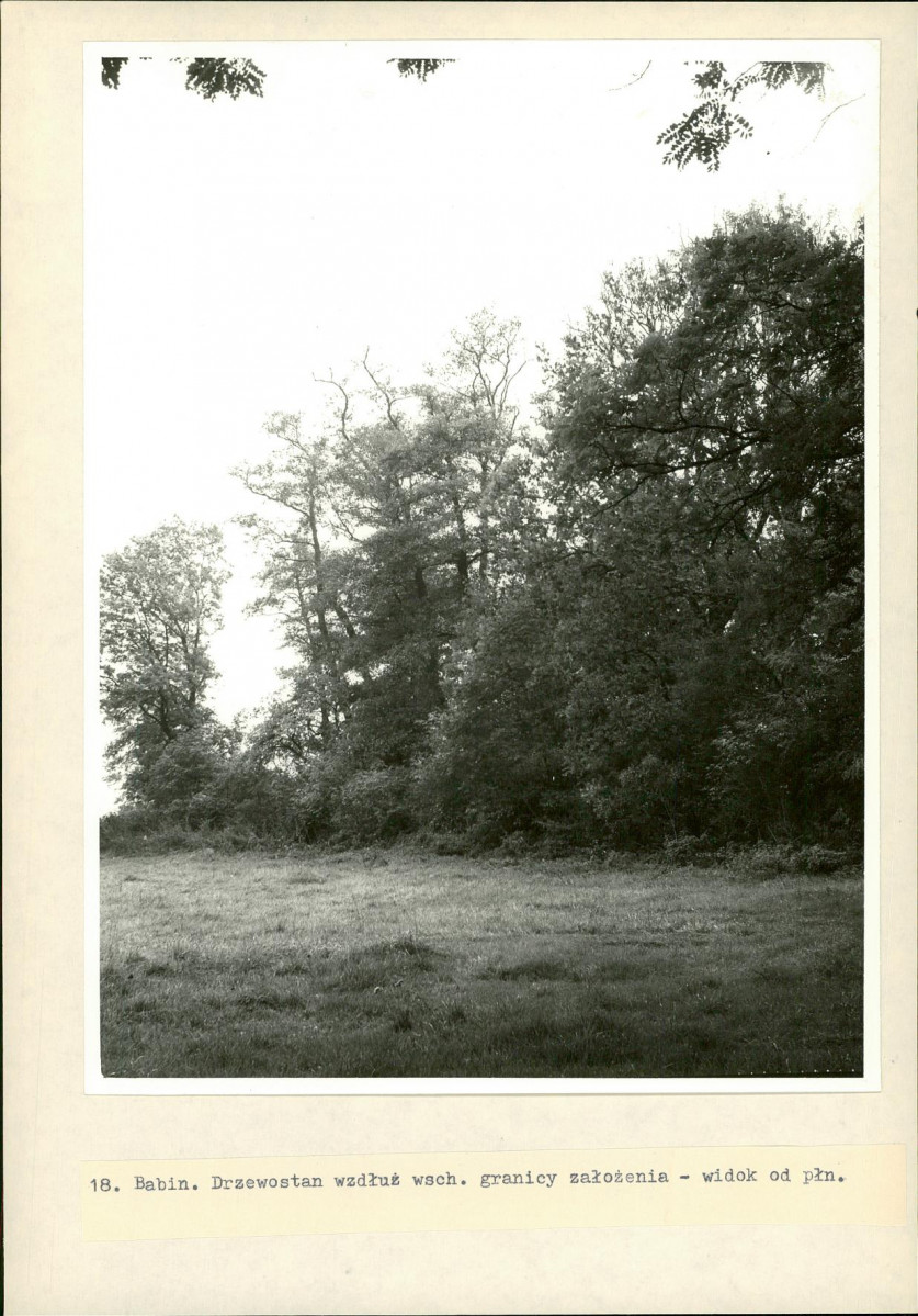 Ewidencja parkowa, skan nr 28