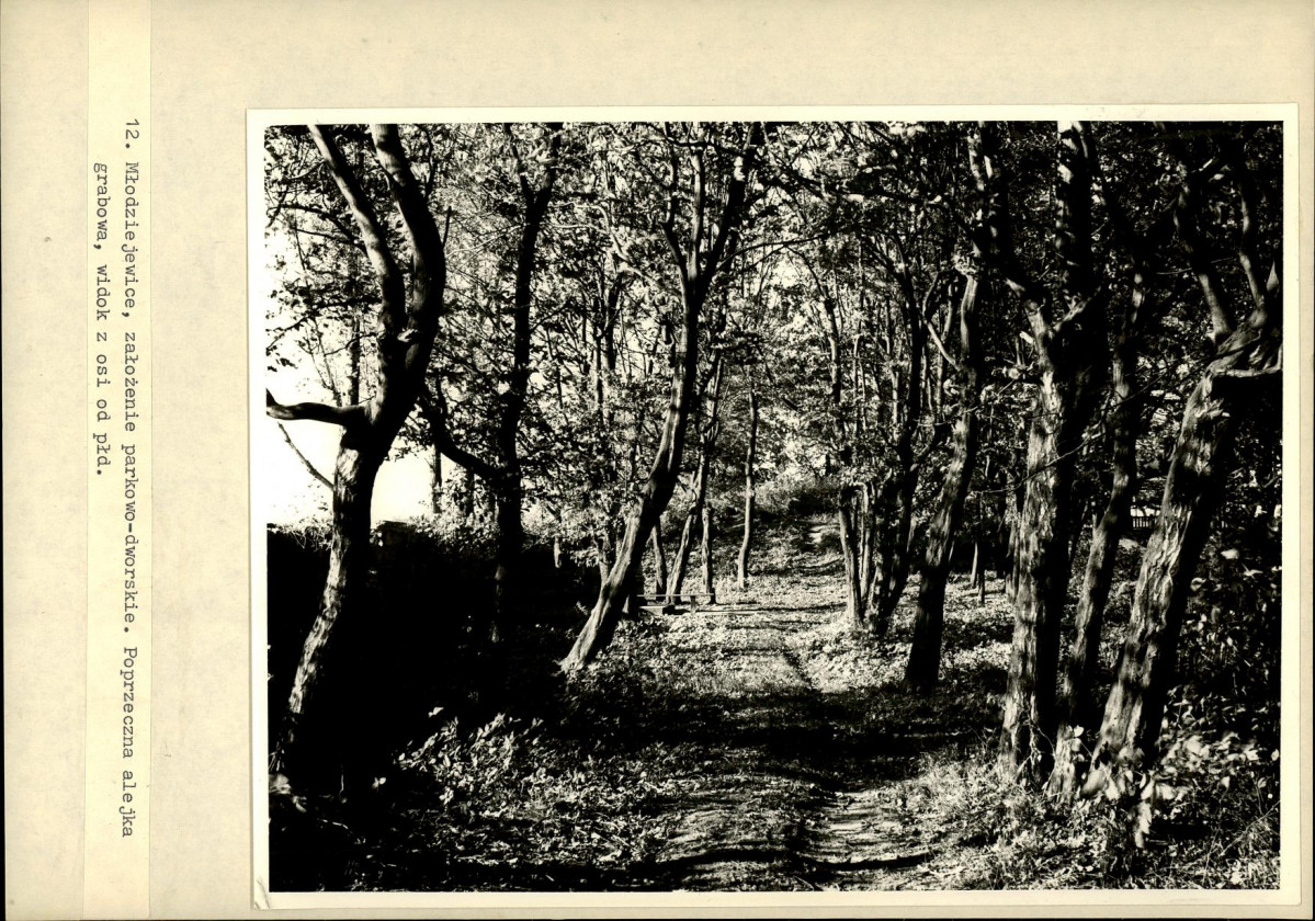 Ewidencja parkowa, skan nr 23