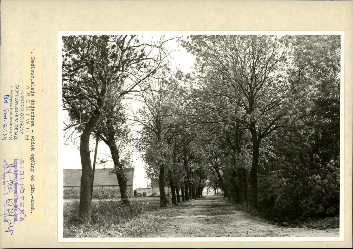 Ewidencja parkowa, skan nr 11
