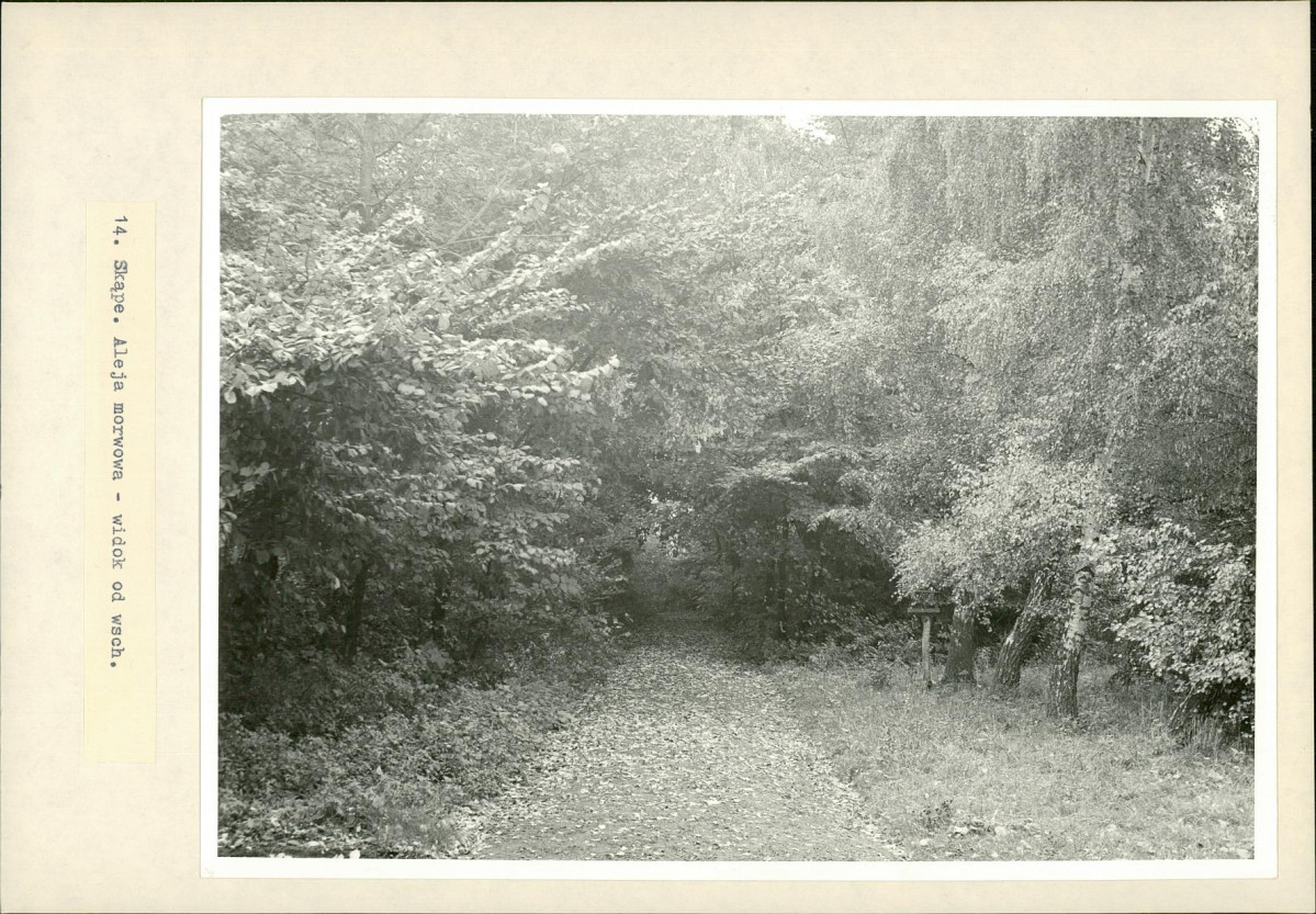 Ewidencja parkowa, skan nr 24