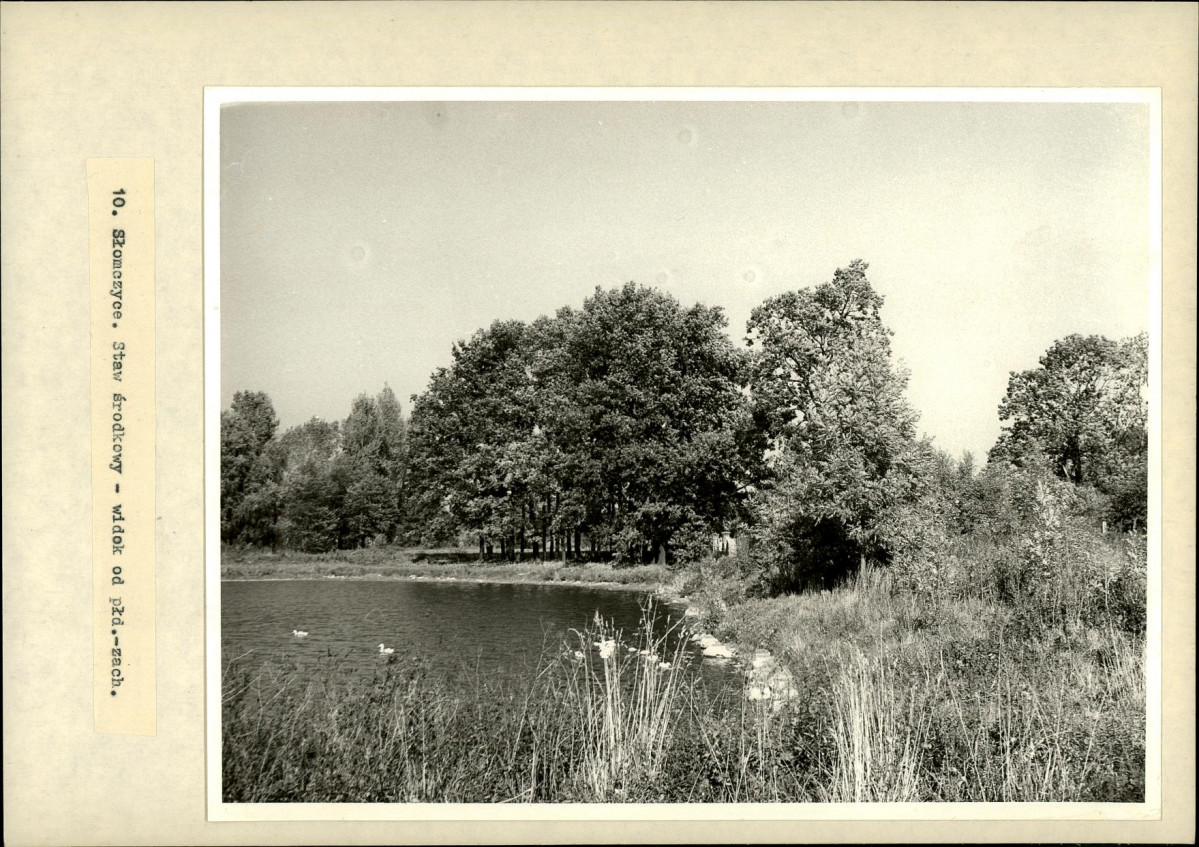 Ewidencja parkowa, skan nr 20