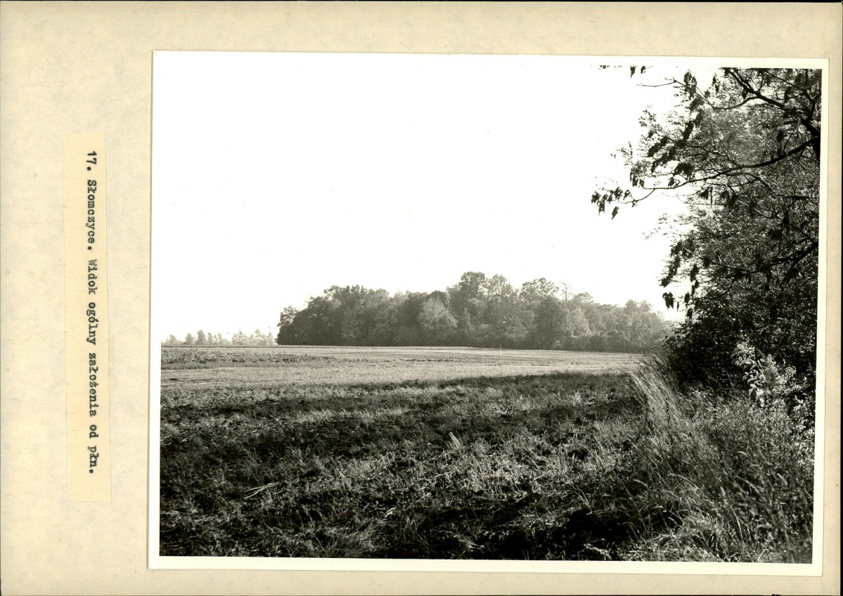 Ewidencja parkowa, skan nr 27