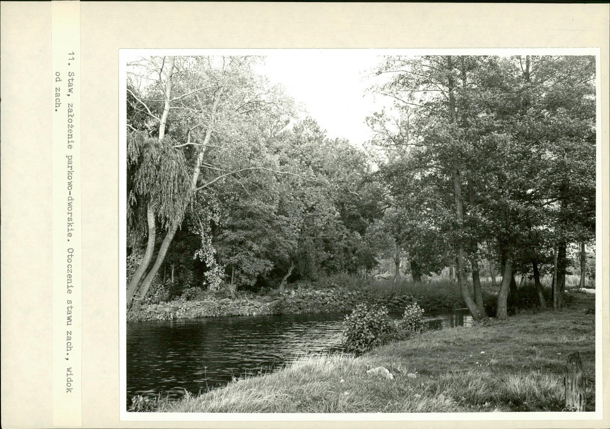 Ewidencja parkowa, skan nr 21