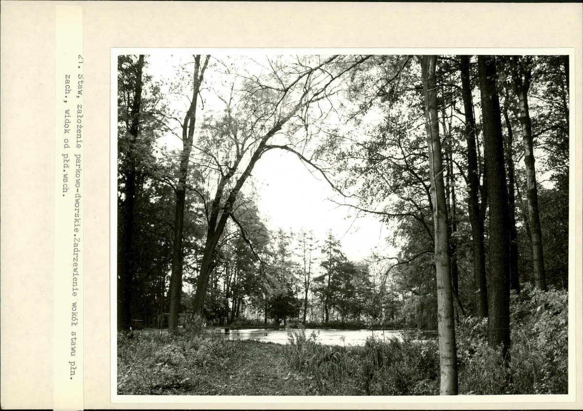 Ewidencja parkowa, skan nr 30