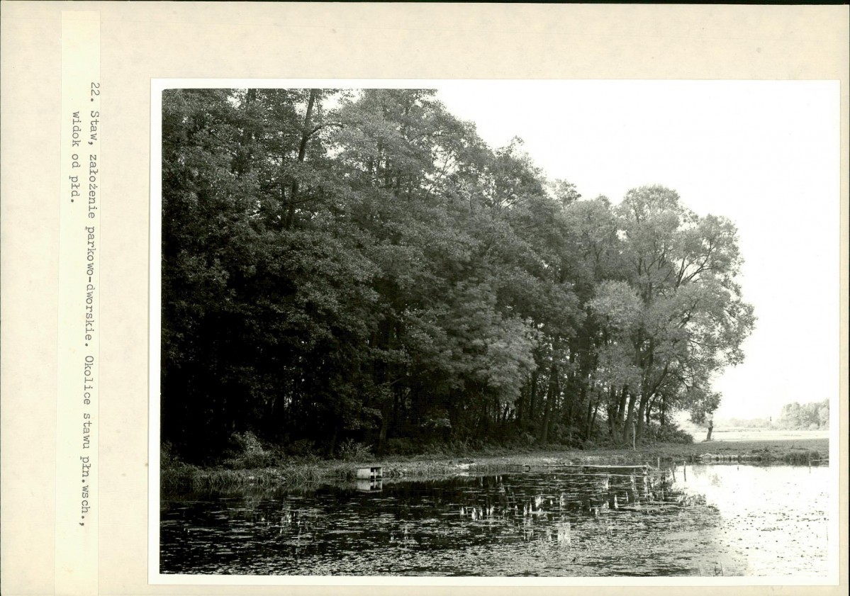 Ewidencja parkowa, skan nr 31