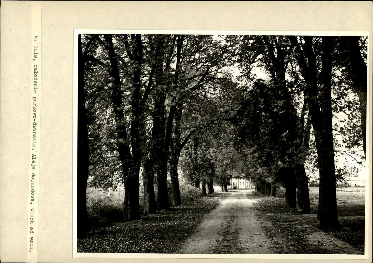 Ewidencja parkowa, skan nr 15
