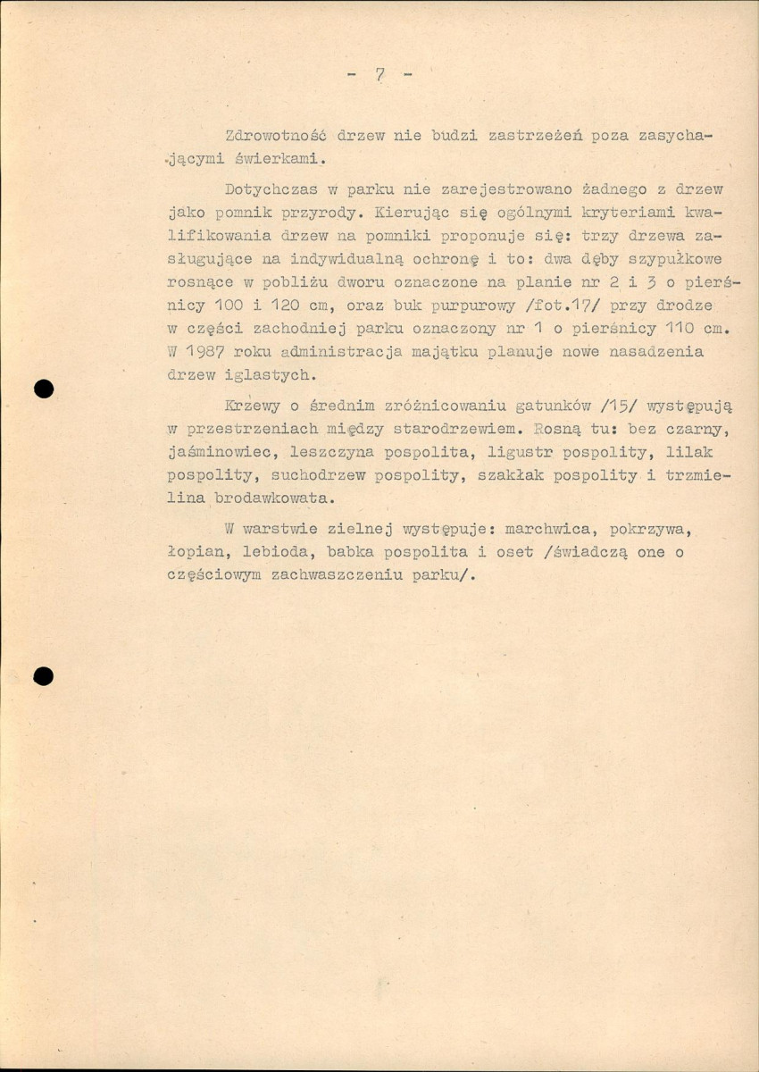 Ewidencja parkowa, skan nr 16