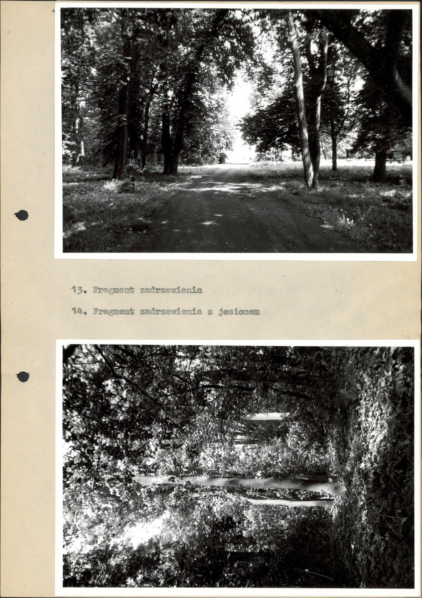 EP - Ewidencja parkowa, skan nr 34