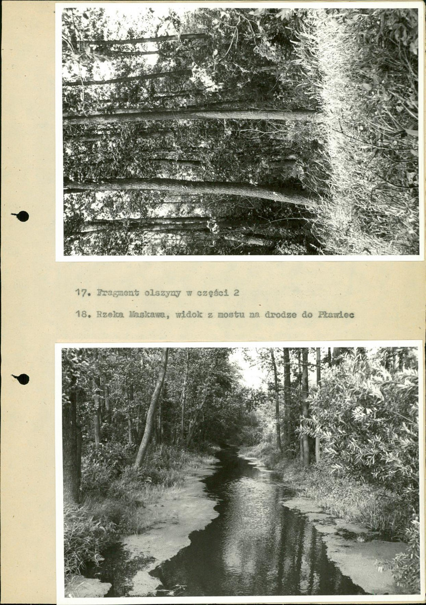 EP - Ewidencja parkowa, skan nr 36